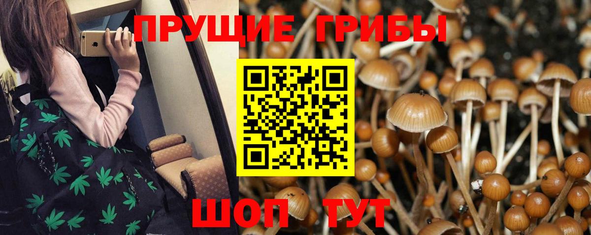 Галлюциногенные грибы прущие грибы Оренбург