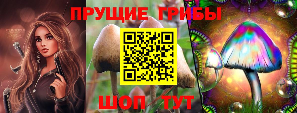 Галлюциногенные грибы Cubensis  Галлюциногенные грибы GOLDEN TEACHER  Вход с VPN  Оренбург 